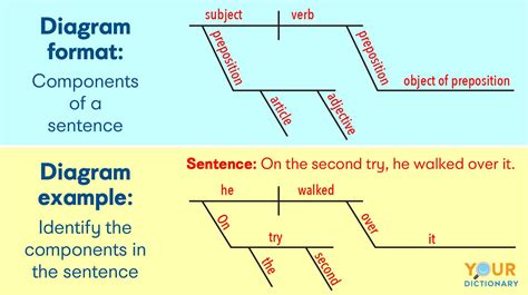 The simple predicate, or verb, indicates what the subject is doing. To begin the diagram, draw a horizontal line separated by a vertical line down the middle. The subject of the sentence will always go on the left side of the vertical line, and the verb will go on the right side. Now, if we were diagramming a very simple sentence, like ...